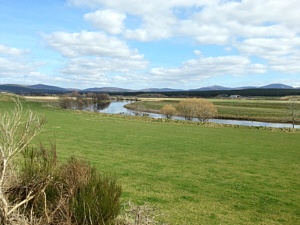 Lackghie Pool, River Spey, Abernethy