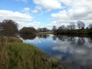 The Island, Abernethy