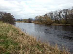 Above Lackghie Bend, River Spey, Abernethy