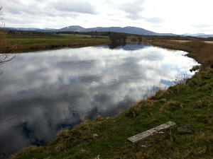 Abernethy Sea trout Angling