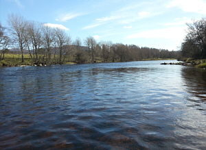 The Corner Pool, Abernethy Angling Association