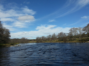 Abernethy Corner Pool