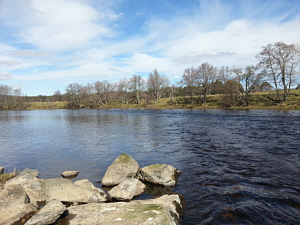 Corner Pool, Abernethy