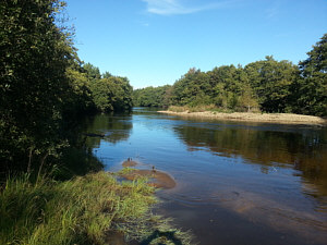 Fishing the Spey at Aviemore, looking towards the Temperance Pool