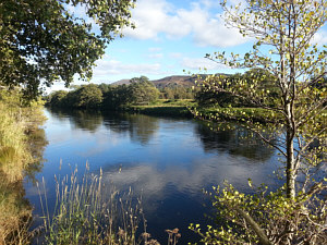 Association Fishing the Spey at Aviemore, the Alder Run