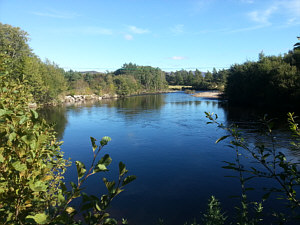 Fishing the Spey at Aviemore - Druie Pool