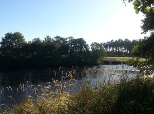 Fishing the Spey at Aviemore, the Grassy Bank