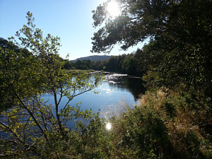 Salmon and Sea Trout Fishing the Spey at Aviemore, the Sandy Banks