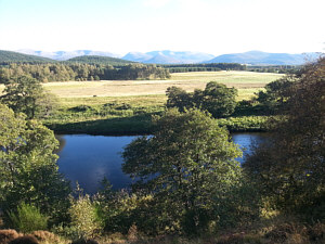Fishing the Spey at Aviemore