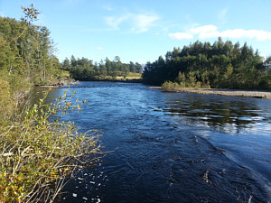 Fishing the Spey at Aviemore, Stoney Beach Run