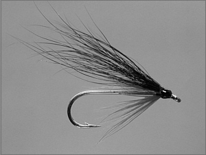 Sea Trout Fly - Night 