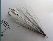 Black and Silver Needle Fly