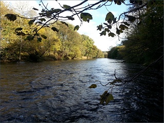 The River Coquet