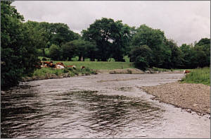 River Cothi