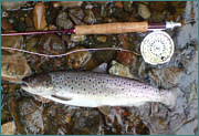 Sea Trout Fly Fishing
