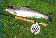 Sea Trout Fly Fishing
