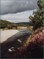  Trout Fish on Sea Trout Fishing   When To Fish