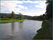 River Spey Sea Trout Fishing