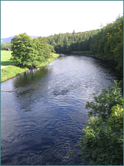 River Spey Sea Trout Fishing